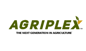 Company Name