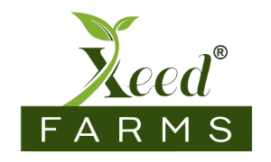 Company Name