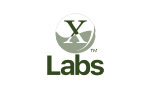 Company Name